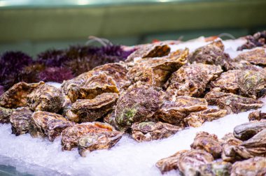 İspanya, Valencia 'daki merkez marketten deniz ürünleri almak.