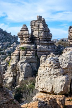 Torcal de Antequerra Ulusal Parkı 'nda yürüyüş, kireçtaşı kaya oluşumları ve Endülüs, Malaga, İspanya' da alışılmadık karst şekilleriyle tanınan.