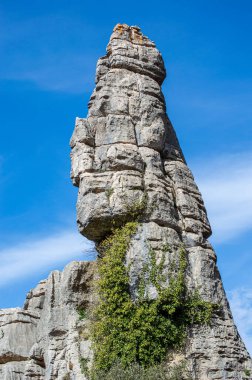 Torcal de Antequerra Ulusal Parkı 'nda yürüyüş, kireçtaşı kaya oluşumları ve Endülüs, Malaga, İspanya' da alışılmadık karst şekilleriyle tanınan.