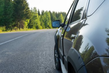 Dağ yolu sabah yaz günü, Karpat Dağları, Ukrayna