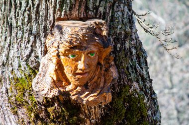 Paradota, İspanya - 20 Ocak 2024: Parauta, İspanya 'daki Büyülü Parauta Ormanı