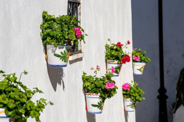 PARAUTA, İspanya - 20 Ocak 2024: Parauta, İspanya 'da sokaklar ve detaylar 20 Ocak 2024