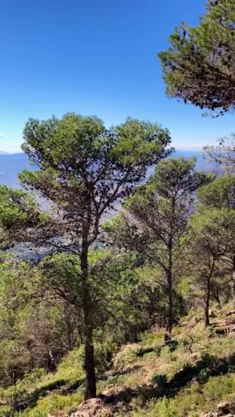 Panoramic View Hiking Trail Maroma Peak Sierra Tejeda Spain — Stock Video