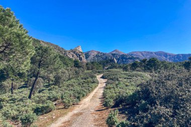 Maroma Tepesi, Sierra Tejeda, İspanya 'ya yürüyüş parkurunun panoramik görüntüsü 
