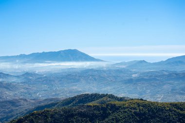 Torrecilla, Sierra de las Nieves Ulusal Parkı, Endülüs, İspanya