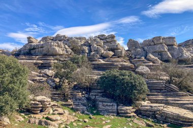 Torcal de Antequerra Ulusal Parkı 'nda yürüyüş, kireçtaşı kaya oluşumları ve Endülüs, Malaga, İspanya' da alışılmadık karst şekilleriyle tanınan.