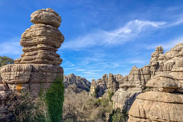 Torcal de Antequerra Ulusal Parkı 'nda yürüyüş, kireçtaşı kaya oluşumları ve Endülüs, Malaga, İspanya' da alışılmadık karst şekilleriyle tanınan.
