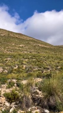 Fırtına gününde Maroma tepesine doğru yürüyüş yolunda sis ve bulutlar, Sierra Tejeda, İspanya 