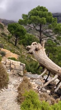 Fırtına gününde Maroma tepesine doğru yürüyüş yolunda sis ve bulutlar, Sierra Tejeda, İspanya 