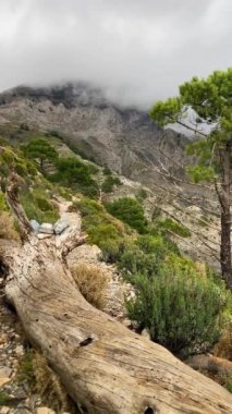 Fırtına gününde Maroma tepesine doğru yürüyüş yolunda sis ve bulutlar, Sierra Tejeda, İspanya 