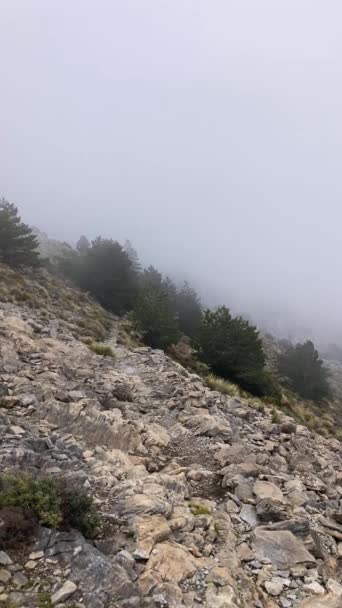 Vento Nevado Nevoeiro Pico Maroma Dia Tempestade Sierra Tejeda Espanha — Vídeo de Stock
