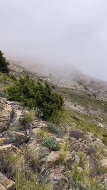 Köd Felhők Maroma Csúcsára Vezető Túraútvonalon Vihar Napján Sierra Tejeda — Stock videók