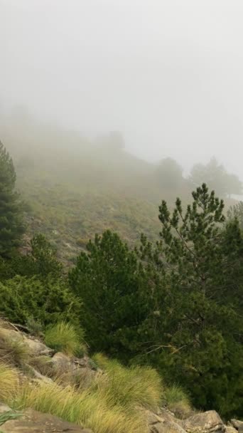 Tåke Skyer Turstien Til Maroma Topp Tordenværsdag Sierra Tejeda Spania – stockvideo
