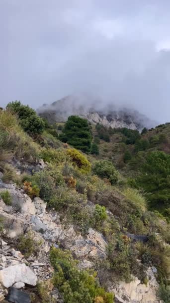 Nebel Und Wolken Auf Dem Wanderweg Zum Maroma Gipfel Gewittertag — Stockvideo