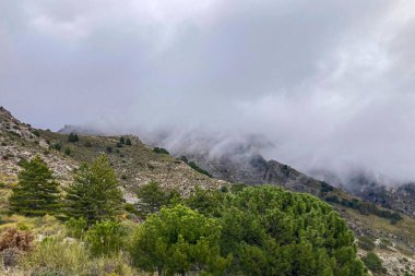 Fırtına gününde Maroma tepesine doğru yürüyüş yolunda sis ve bulutlar, Sierra Tejeda, İspanya 