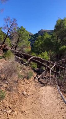 Alman nehri üzerinden Colgante Köprüsü 'ne (Puente Colgante El Saltillo) yürüyüş yolu, Sierra Tejeda, İspanya