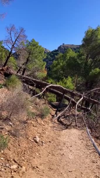 Pendakian Jembatan Colgante Puente Colgante Saltillo Atas Sungai Almanchares Sierra — Stok Video