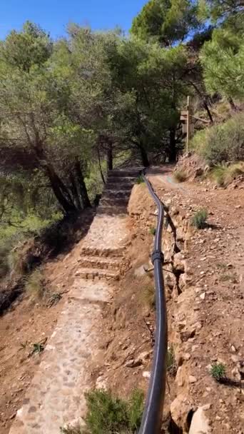 Trilha Caminhada Até Ponte Colgante Puente Colgante Saltillo Sobre Rio — Vídeo de Stock