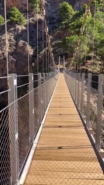 Διαδρομή Πεζοπορίας Στη Γέφυρα Colgante Puente Colgante Saltillo Πάνω Από — Αρχείο Βίντεο