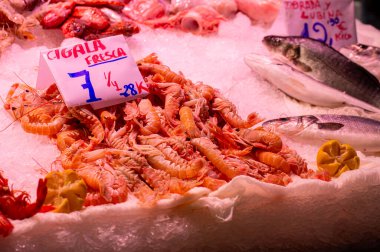 VALENCIA, İspanya - 2 Şubat 2024 'te İspanya' nın başkenti Valencia 'da sebze, meyve ve deniz ürünleri satın alan insanlar