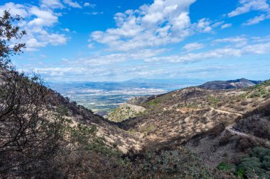 Mijas, Malaga, İspanya tepelerine giden yolda yanan orman.