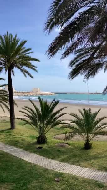 Benalmadena Spain January 2024 Sea Promenade Morning Benalmadena Malaga Spain — Stock Video