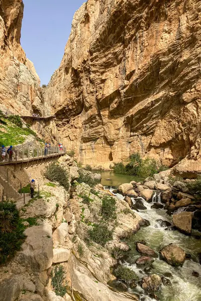 EL CHORRO, İspanya - 19 Mart 2024: Caminito del Rey, Kralın Yolu. 19 Mart 2024 'te Malaga, İspanya' nın El Chorro kentindeki dar bir geçitin sarp duvarları boyunca sıkıştı.