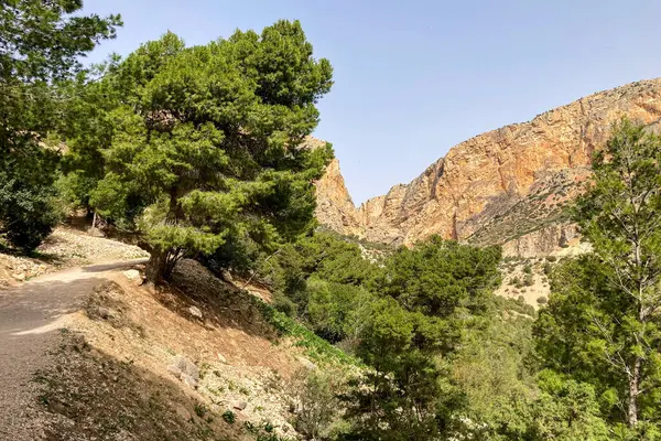 Caminito del Ray, Kralın Yolu. El Chorro, Malaga, İspanya 'da dar bir boğazın dik duvarları boyunca uzanan yürüyüş yolu