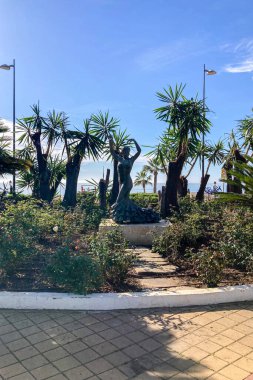 BANUS, İspanya - 16 Mart 2024: Banus, İspanya 'da sabah caddelerinde yürüyüş