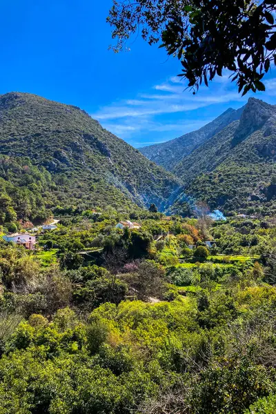 Molinos Nehri, Istan, Marbella, İspanya 'ya yürüyüş yolu