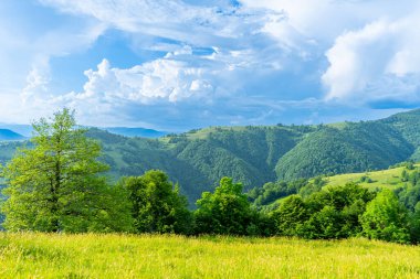 Karpatlar gün batımında yeşil çayır manzaraları, Apetska dağı, Ukrayna