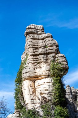 Torcal de Antequerra Ulusal Parkı 'nda yürüyüş, kireçtaşı kaya oluşumları ve Endülüs, Malaga, İspanya' da alışılmadık karst şekilleriyle tanınan.