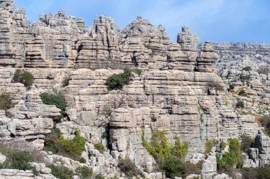 Torcal de Antequerra Ulusal Parkı 'nda yürüyüş, kireçtaşı kaya oluşumları ve Endülüs, Malaga, İspanya' da alışılmadık karst şekilleriyle tanınan.
