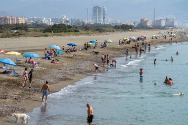 MALAGA, İspanya - 23 Haziran 2023 'te İspanya' nın Malaga kentindeki Misericordia Plajı 'nda köpeklerle dinlenen insanlar