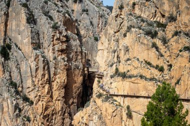 EL CHORRO, İspanya - 19 Mart 2024: Caminito del Rey, Kralın Yolu. 19 Mart 2024 'te Malaga, İspanya' nın El Chorro kentindeki dar bir geçitin sarp duvarları boyunca sıkıştı.