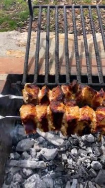 Metal şiş üzerinde ızgara domuz eti. Shashlik ya da şiş kebap ızgarada ızgara kömürle ızgara sebzeyle hazırlandı..