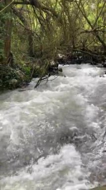 Monachil, Granada, İspanya 'daki Monachil nehri üzerinde Sabina' nın yürüyüş yolu.