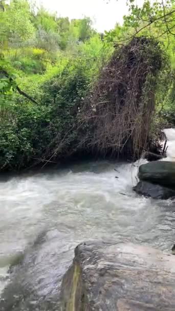 Hiking Trail Sabina Monachil River Monachil Granada Spain — Stock Video
