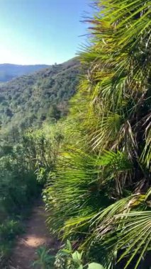 Caballos nehri üzerindeki şelalelere doğru yürüyüş yolu Tolox, Malaga, İspanya 'daki Sierra de la Nieves Ulusal Parkı