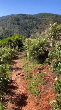 Caballos nehri üzerindeki şelalelere doğru yürüyüş yolu Tolox, Malaga, İspanya 'daki Sierra de la Nieves Ulusal Parkı