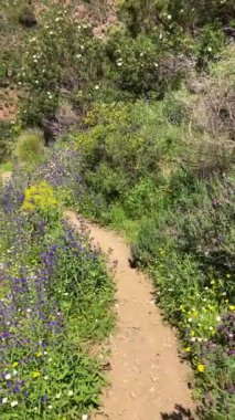 Caballos nehri üzerindeki şelalelere doğru yürüyüş yolu Tolox, Malaga, İspanya 'daki Sierra de la Nieves Ulusal Parkı