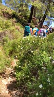 TOLOX, İspanya - 13 Nisan 2024: 13 Nisan 2024 tarihinde İspanya 'nın Tolox kentindeki Sierra de la Nieves Ulusal Parkı' ndaki Caballos nehri üzerindeki şelalelere yürüyüş yolu