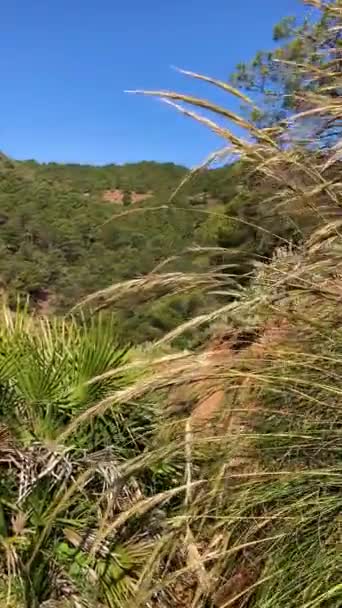Wandelroute Naar Watervallen Caballos Nationaal Park Sierra Nieves Tolox Malaga — Stockvideo
