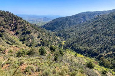 Caballos nehri üzerindeki şelalelere doğru yürüyüş yolu Tolox, Malaga, İspanya 'daki Sierra de la Nieves Ulusal Parkı