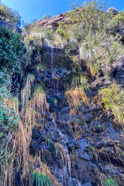 Caballos nehri üzerindeki şelalelere doğru yürüyüş yolu Tolox, Malaga, İspanya 'daki Sierra de la Nieves Ulusal Parkı