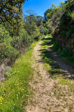 Caballos nehri üzerindeki şelalelere doğru yürüyüş yolu Tolox, Malaga, İspanya 'daki Sierra de la Nieves Ulusal Parkı