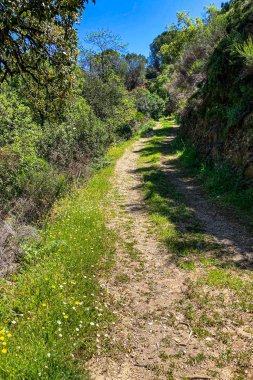 Hiking trail to waterfalls over river Caballos, Sierra de la Nieves National Park in Tolox, Malaga, Spain clipart