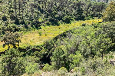 Caballos nehri üzerindeki şelalelere doğru yürüyüş yolu Tolox, Malaga, İspanya 'daki Sierra de la Nieves Ulusal Parkı