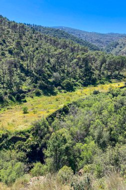 Caballos nehri üzerindeki şelalelere doğru yürüyüş yolu Tolox, Malaga, İspanya 'daki Sierra de la Nieves Ulusal Parkı