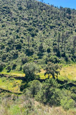 Caballos nehri üzerindeki şelalelere doğru yürüyüş yolu Tolox, Malaga, İspanya 'daki Sierra de la Nieves Ulusal Parkı